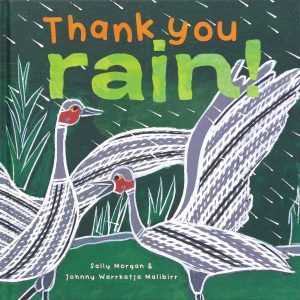 Thank You Rain Book cover