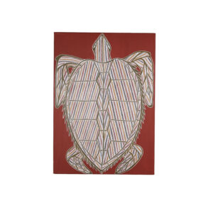 Miyapunu (Turtle)