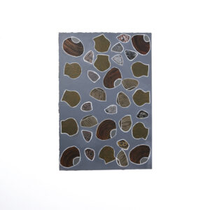 Lutulutu (Shells) - Painting On Paper - Dorothy Dhulparrarrawuy Marrawungu