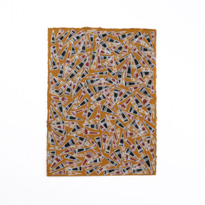 Ngilipitji - Painting On Paper - Russell Ngadiyali Wanapuyngu